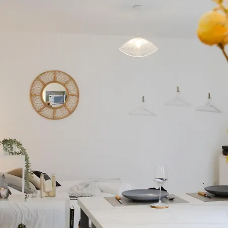 Le Cocon, Centre Reims, Climatisation, Terrasse Appartement
